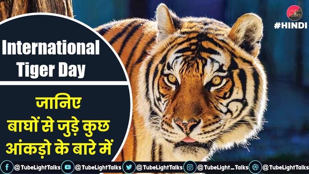 International Tiger Day [Hindi]