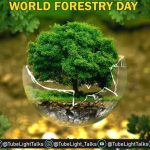 World Forest Day 2022 [Hindi] वन हमारे लिए क्यों जरूरी हैं