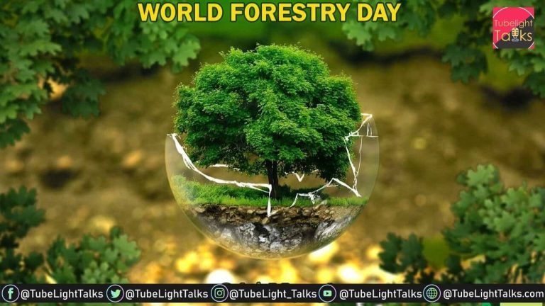 World Forest Day 2024 [Hindi]: 21 मार्च को दुनिया भर में मनाया जाता है अंतरराष्ट्रीय वन दिवस