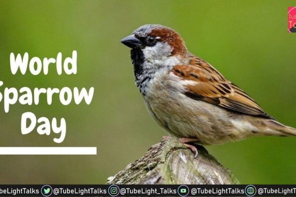 World Sparrow Day 2022 [Hindi] गौरैया संरक्षण के बेहतरीन उपाय