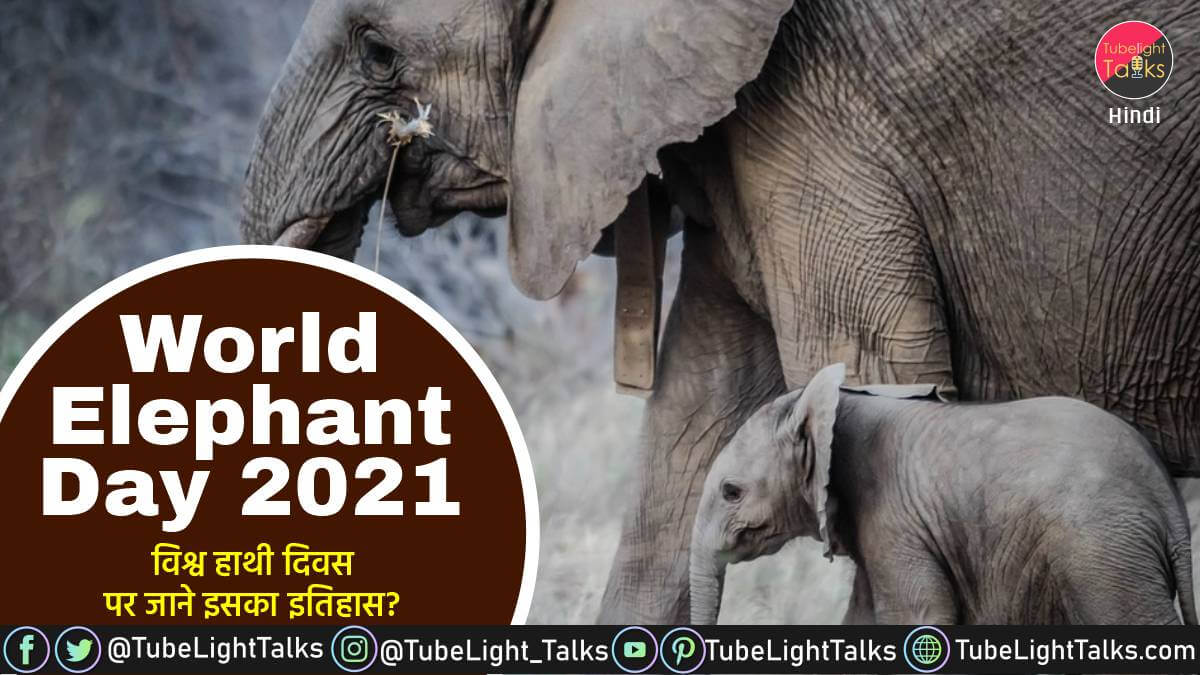 World Elephant Day 2021 History, Aim, Facts, Important Info [Hindi]