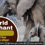 World Elephant Day 2024 History, Aim, Facts, Important Info [Hindi]