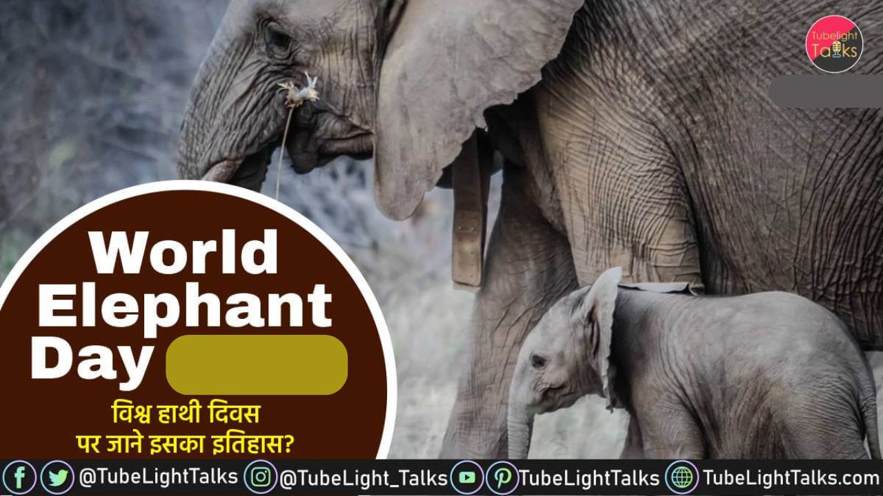 World Elephant Day 2024 History, Aim, Facts, Important Info [Hindi]