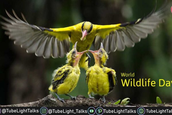 World Wildlife Day 2022 [Hindi] क्या है विश्व वन्यजीव दिवस का इतिहास और थीम