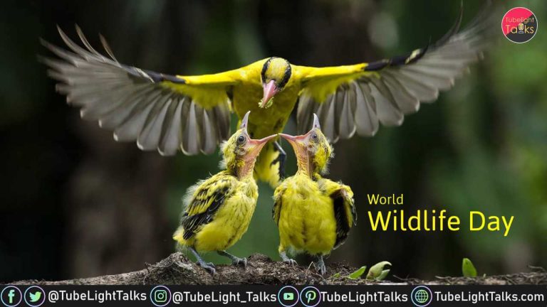 World Wildlife Day 2022 [Hindi] क्या है विश्व वन्यजीव दिवस का इतिहास और थीम