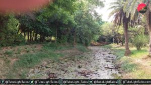 अंतरराष्ट्रीय जैव विविधता दिवस पर्यावरण में बदलाव से बढ़ रही चिंता