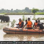 Devastating Floods in Kaziranga Assam’s Wildlife Struggles with 159 Dead, 133 Saved