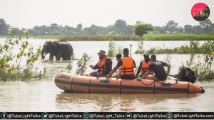 Devastating Floods in Kaziranga Assam’s Wildlife Struggles with 159 Dead, 133 Saved