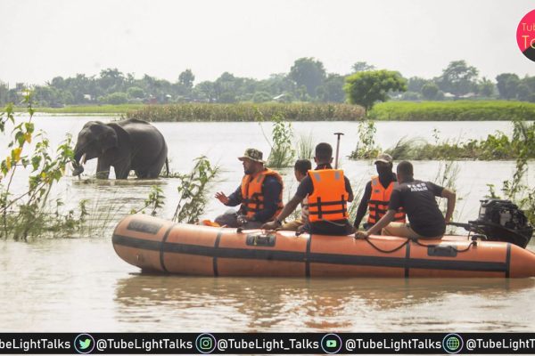 Devastating Floods in Kaziranga Assam’s Wildlife Struggles with 159 Dead, 133 Saved