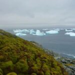 Antarctica's Transformation Why the Coldest Place on Earth is Rapidly Turning Green and Its Global Consequences