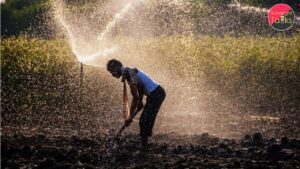 Decline in Global Water Storage and Its Agricultural Implications