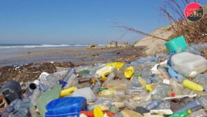 प्लास्टिक प्रदूषण: आज की सबसे बड़ी पर्यावरणीय चुनौती