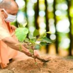 Van Mahotsav 2025 in hindi
