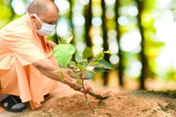 Van Mahotsav 2025 in hindi