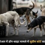 दिल्ली-एनसीआर में डॉग-बाइट मामले में सुप्रीम कोर्ट का सख्त निर्देश
