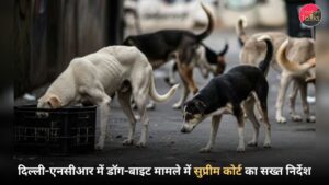 दिल्ली-एनसीआर में डॉग-बाइट मामले में सुप्रीम कोर्ट का सख्त निर्देश