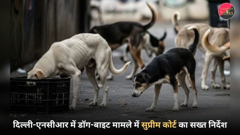 दिल्ली-एनसीआर में डॉग-बाइट मामले में सुप्रीम कोर्ट का सख्त निर्देश