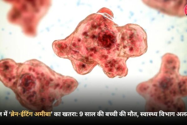 ब्रेन-ईटिंग अमीबा