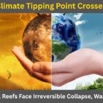 Climate Tipping Point Crossed
