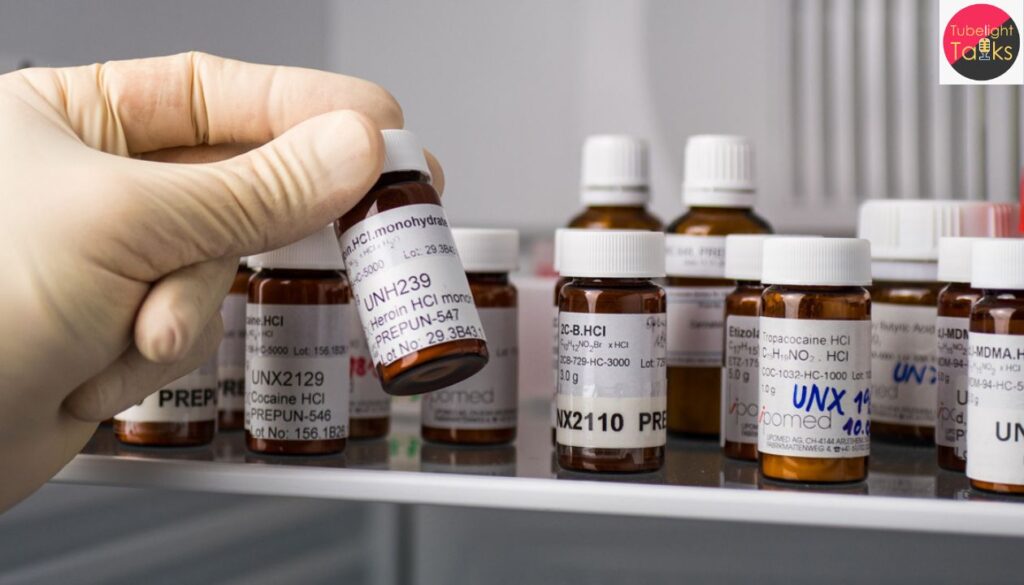 UNODC’s 2025 World Drug Report Trends, Threats and Turning Points