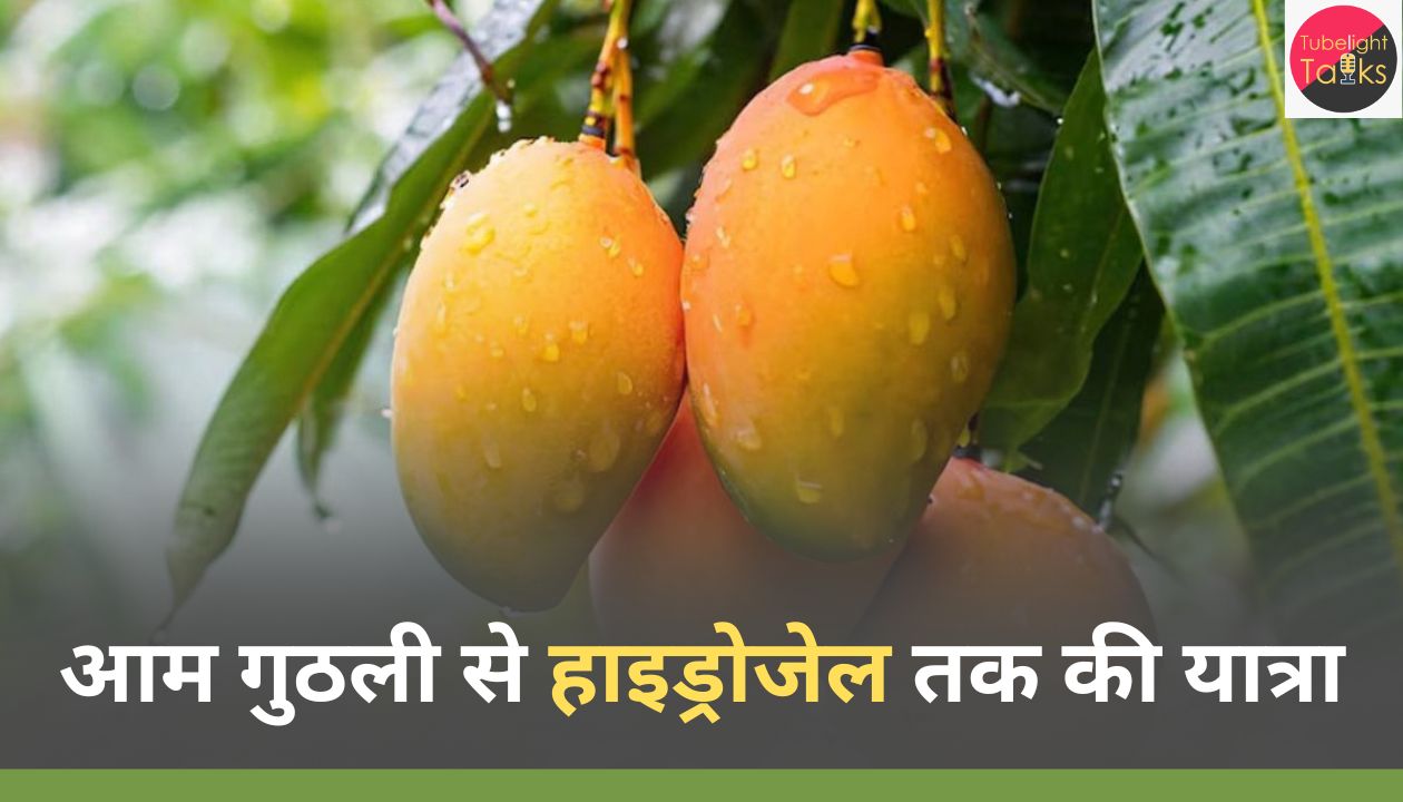 आम गुठली से हाइड्रोजेल तक की यात्रा