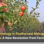 Nanotechnology in Postharvest Management of Fruit Crops: A New Revolution from Farm to Market