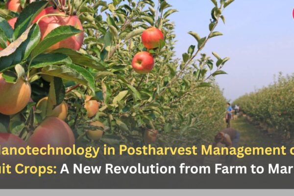 Nanotechnology in Postharvest Management of Fruit Crops: A New Revolution from Farm to Market