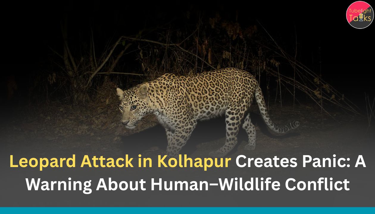 Leopard Attack in Kolhapur Creates Panic: A Warning About Human–Wildlife Conflict