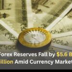 India’s Forex Reserves Fall by $5.6 Billion to $689.73 Billion Amid Currency Market Pressure