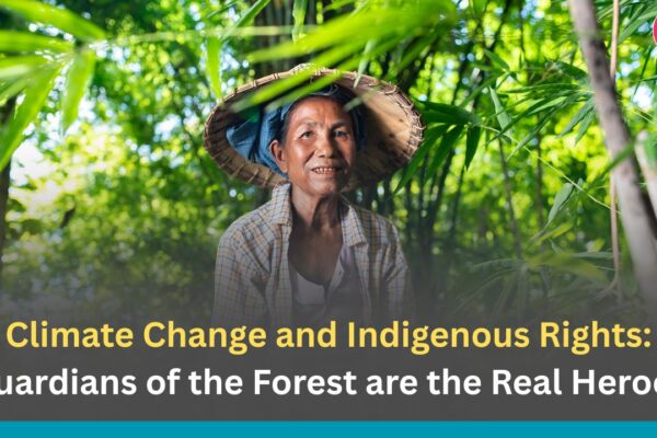 ​Climate Change and Indigenous Rights: Guardians of the Forest are the Real Heroes