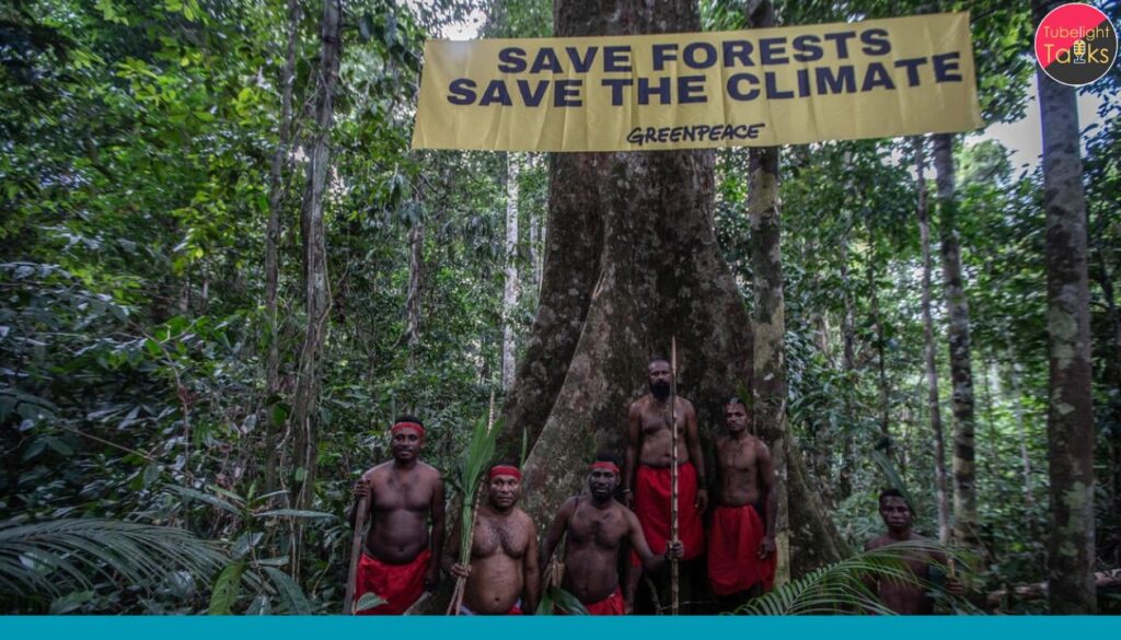 ​Climate Change and Indigenous Rights: Guardians of the Forest are the Real Heroes