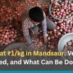 Onion at ₹1/kg in Mandsaur: Verified, Explained, and What Can Be Done Next