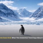 Nihilist Penguin Meme Goes Viral: What This Existential Trend Says About the Internet in 2026
