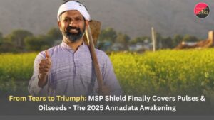 MSP Coverage Expansion 2025