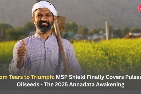 MSP Coverage Expansion 2025