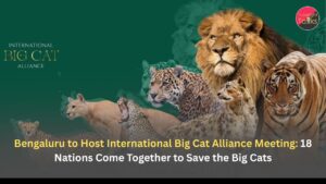 Bengaluru to Host International Big Cat Alliance Meeting: 18 Nations Come Together to Save the Big Cats