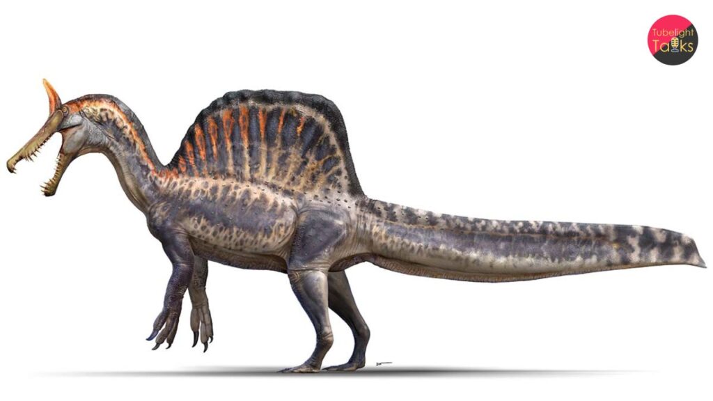 Spinosaurus mirabilis Discovered in Sahara: “Hell Heron” With Giant Blade Crest Rewrites Dinosaur Evolution