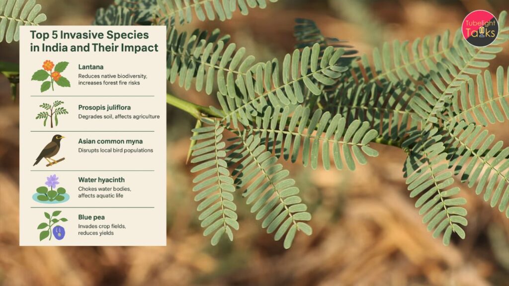 India Moves to Tackle Invasive Alien Species in India as NBA Sets Up National Expert Committee