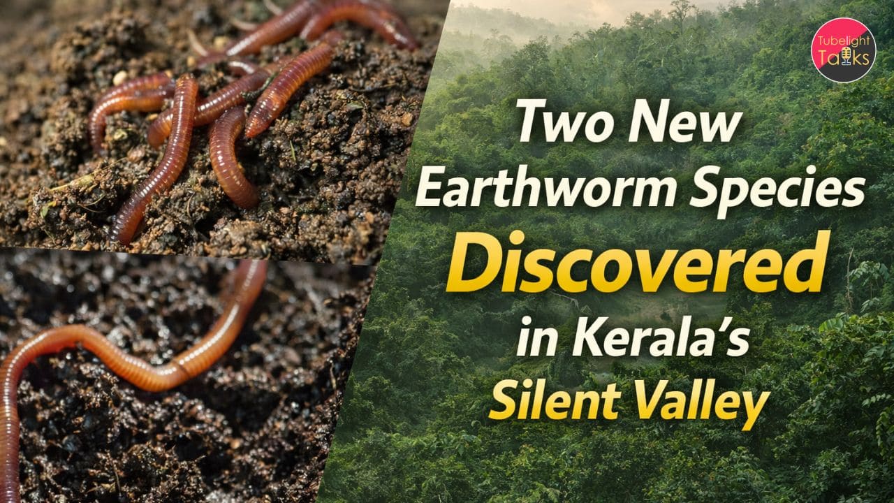 Two New Earthworm Species Discovered in Kerala’s Silent Valley, Nilgiri Biosphere