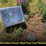 Soil Microbes Power New Fuel Cell Technology