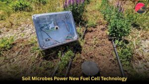 Soil Microbes Power New Fuel Cell Technology