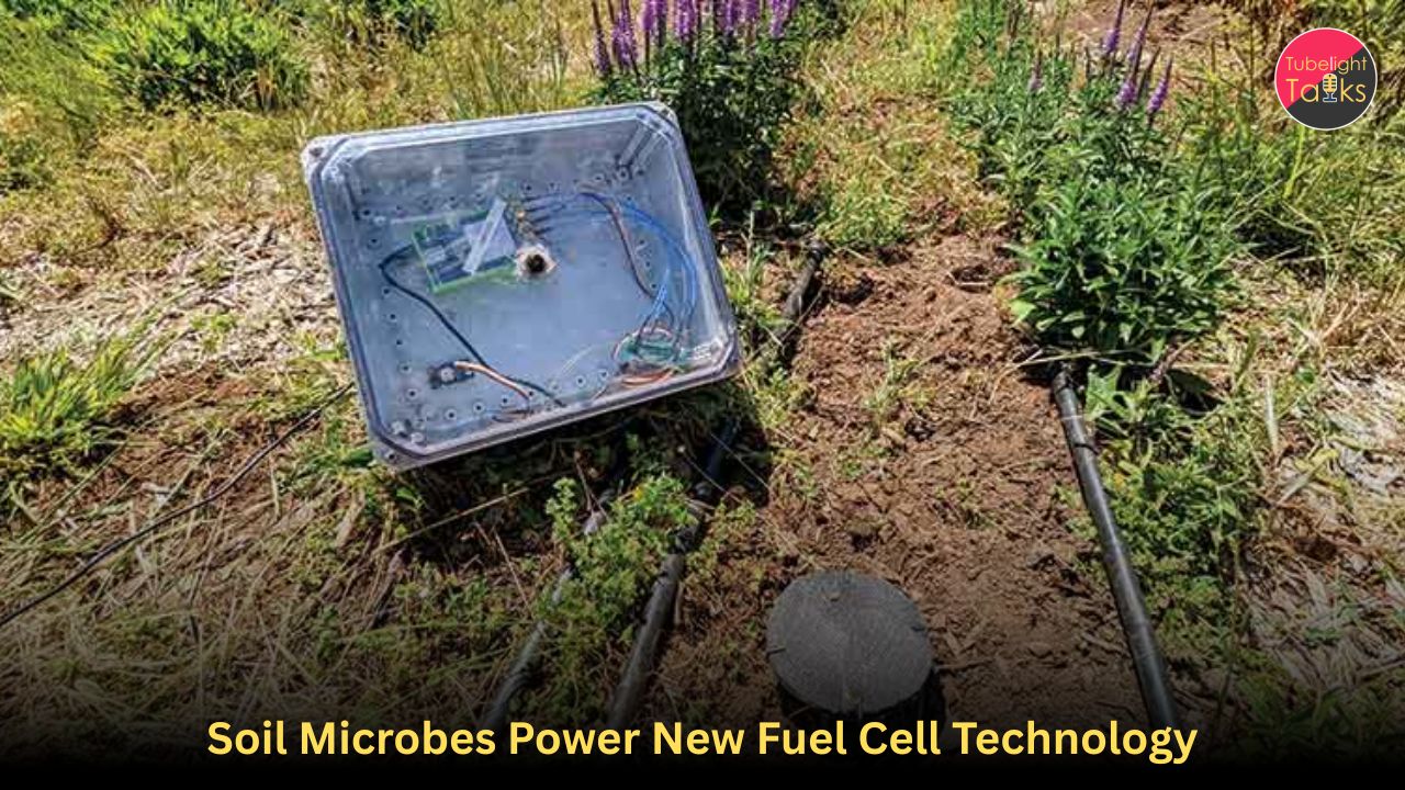 Soil Microbes Power New Fuel Cell Technology