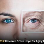 ELOVL2 Research Offers Hope for Aging Eyes