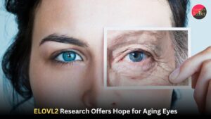 ELOVL2 Research Offers Hope for Aging Eyes