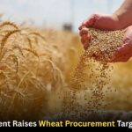Government Raises Wheat Procurement Target by 15%