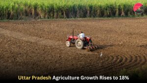 Uttar Pradesh Agriculture Growth Rises to 18%