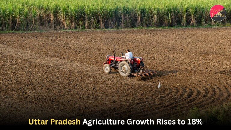 Uttar Pradesh Agriculture Growth Rises to 18%