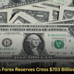 India’s Forex Reserves Cross $703 Billion Mark