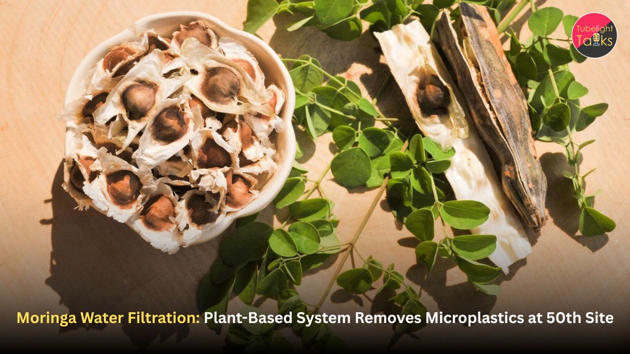 Moringa Water Filtration: Plant-Based System Removes Microplastics at 50th Site
