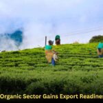 Sikkim Organic Sector Gains Export Readiness Push